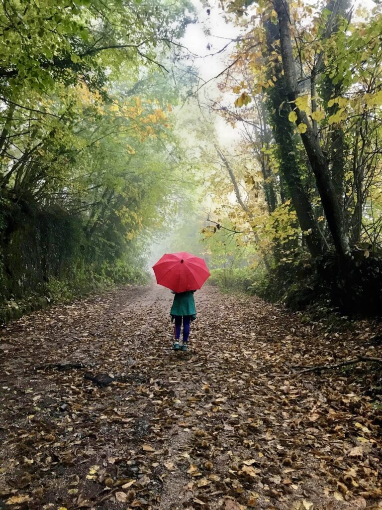 Rosso d'autunno