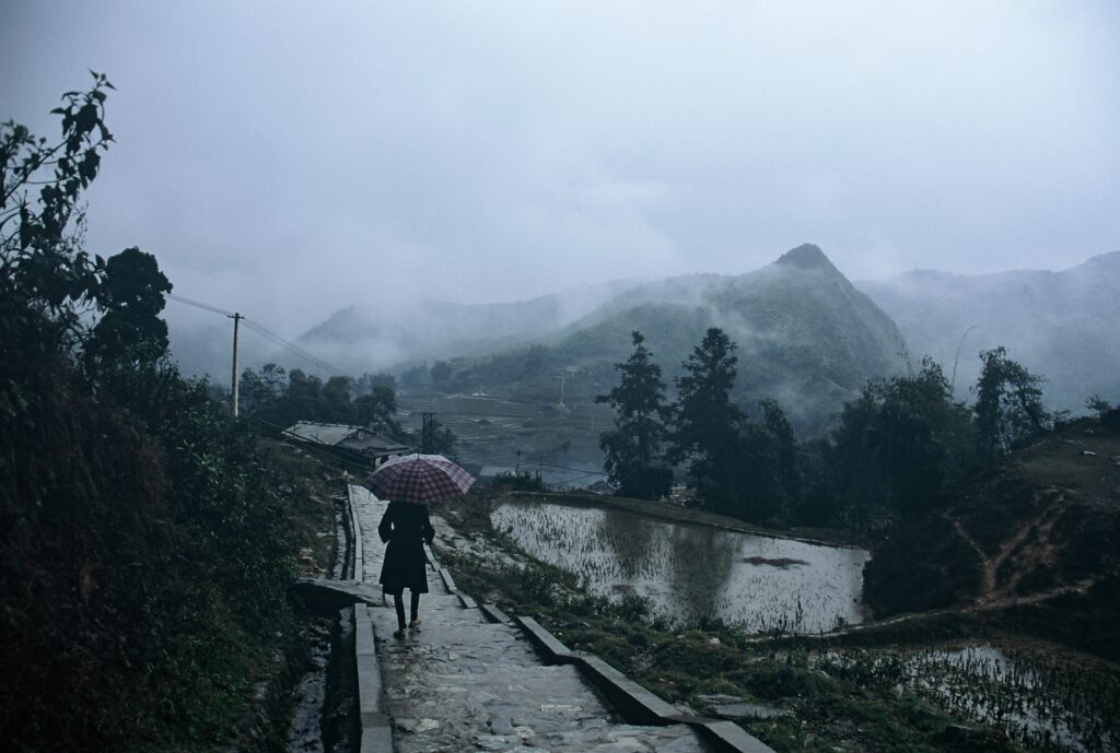 Rainy day